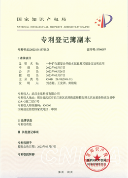 专利12